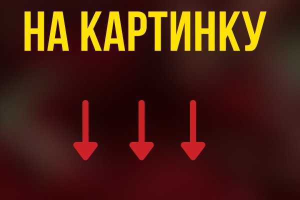 Официальный где купить котиков